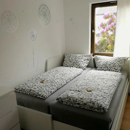 公寓 Schwarzwaldhaus Markus